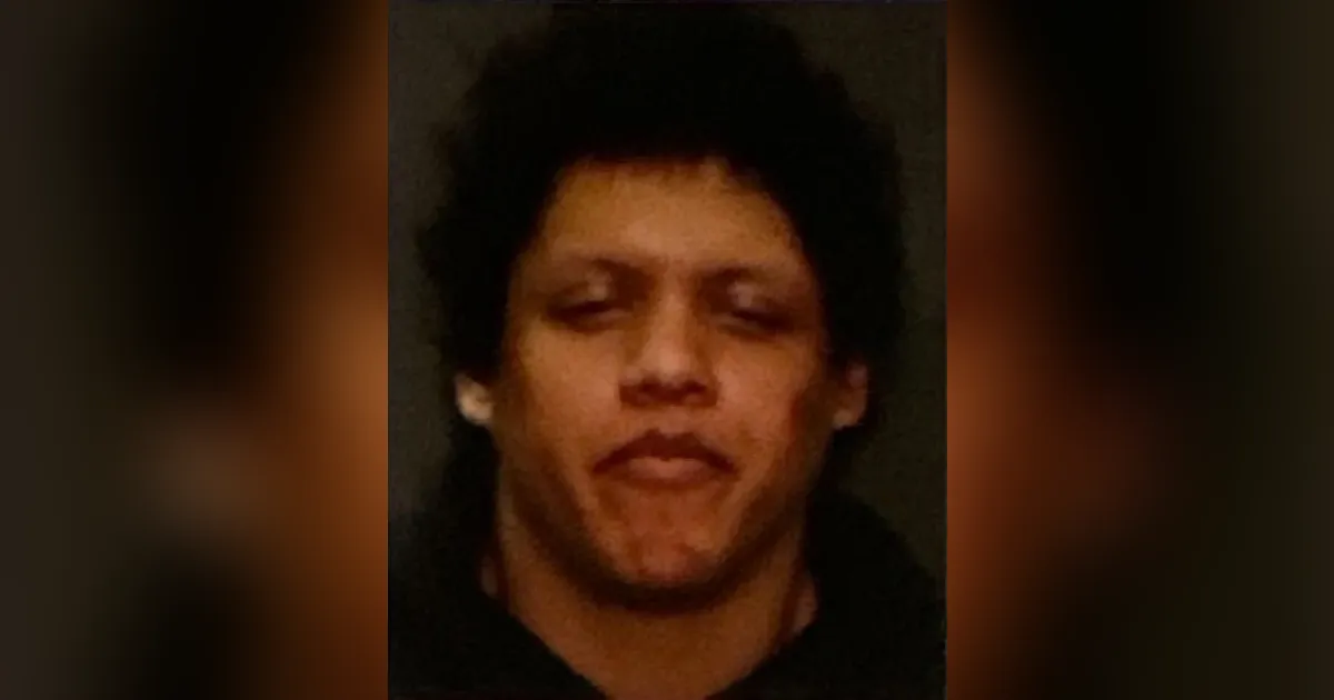 Un oficial de la policía de Nueva York abate a un sujeto que tenía como rehén a su propia madre.